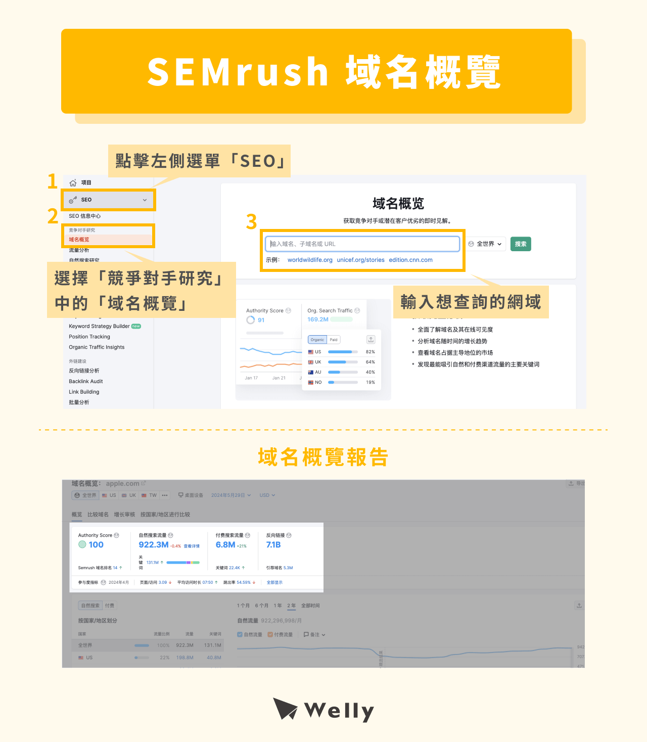 SEMrush 域名概覽