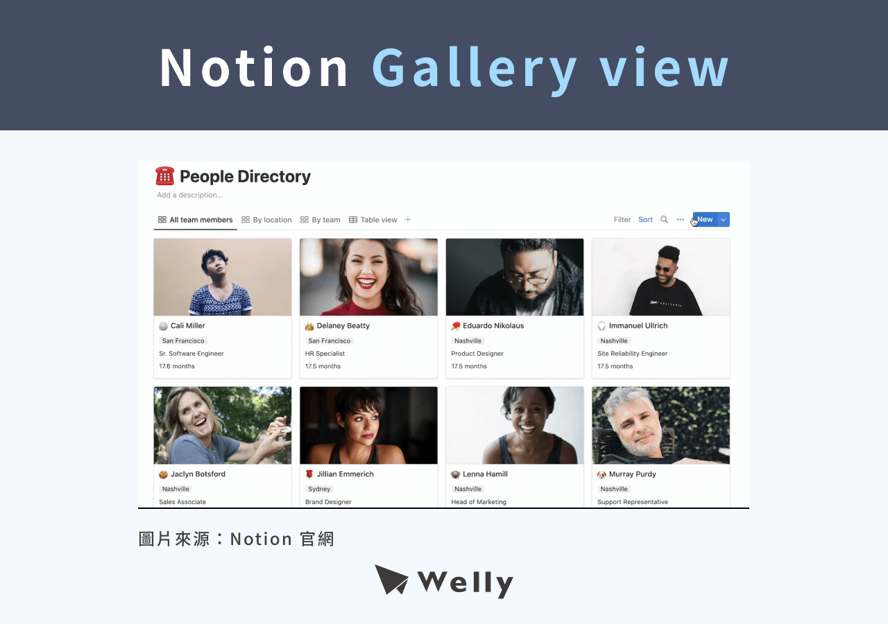 Notion Gallery view