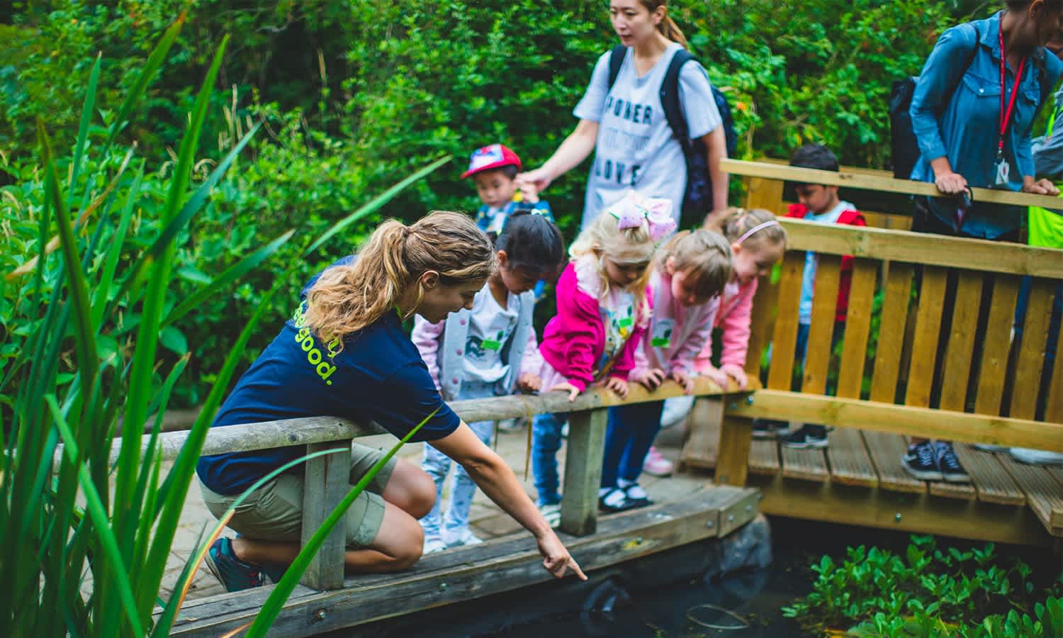 The Conservation Volunteers