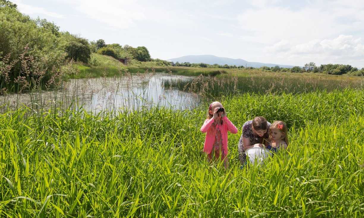 WWT works to protect, create and restore wetlands for the benefit of people and wildlife