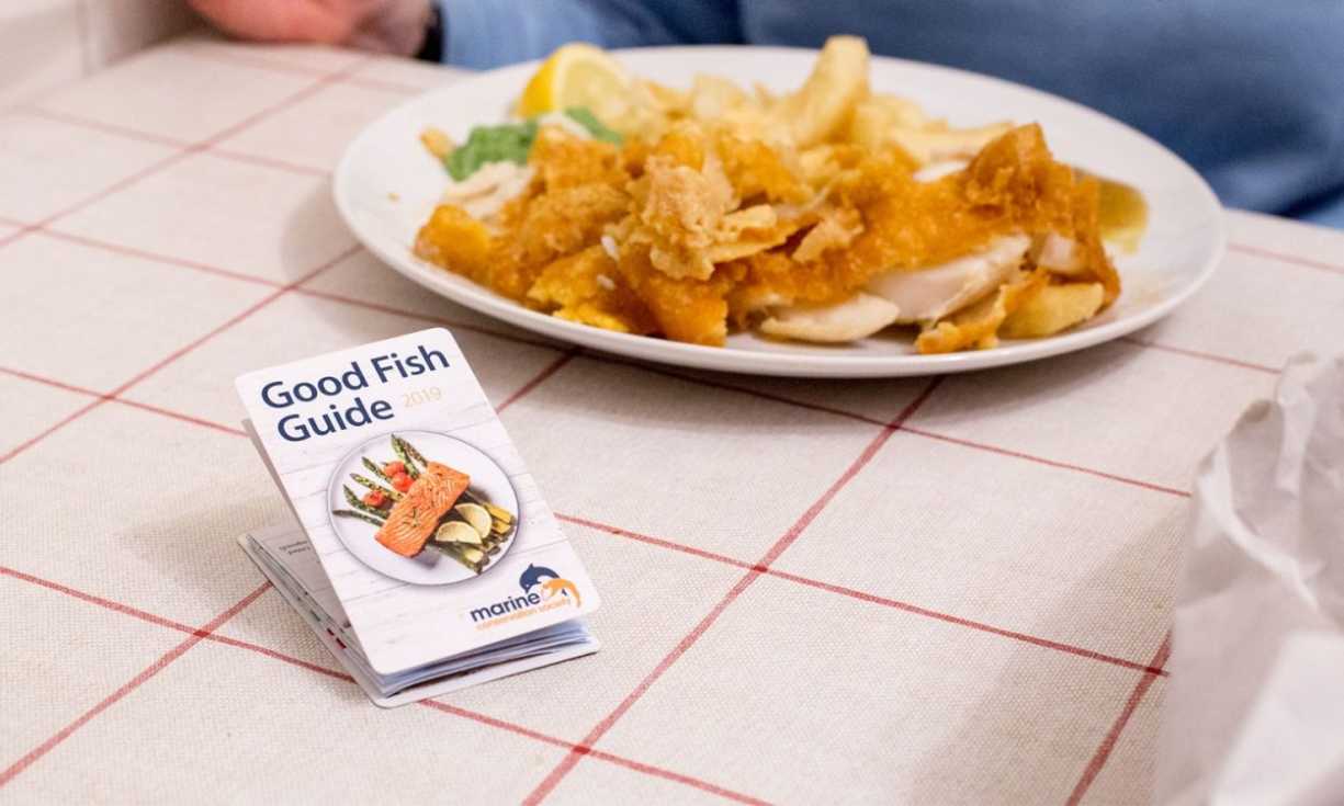 The Good Fish Guide from the Marine Conservation Society lets consumers know which fish are the most and least sustainable