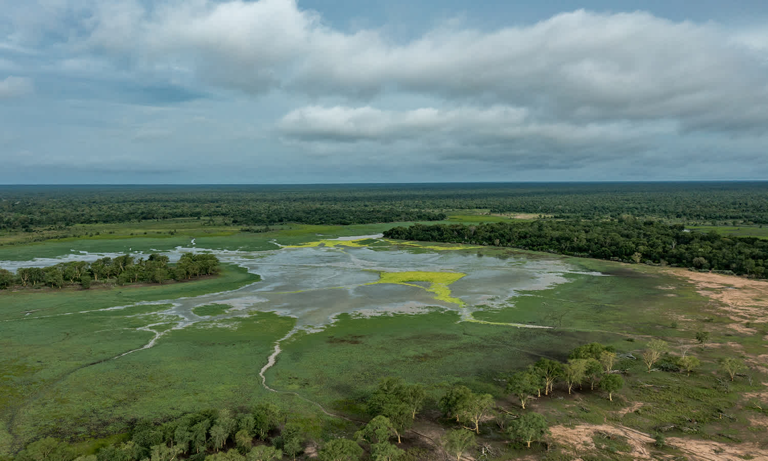 Peace Parks Foundation works to plan and implement strategies that revitalise habitat integrity, restore ecological functionality, and protect biodiversity.