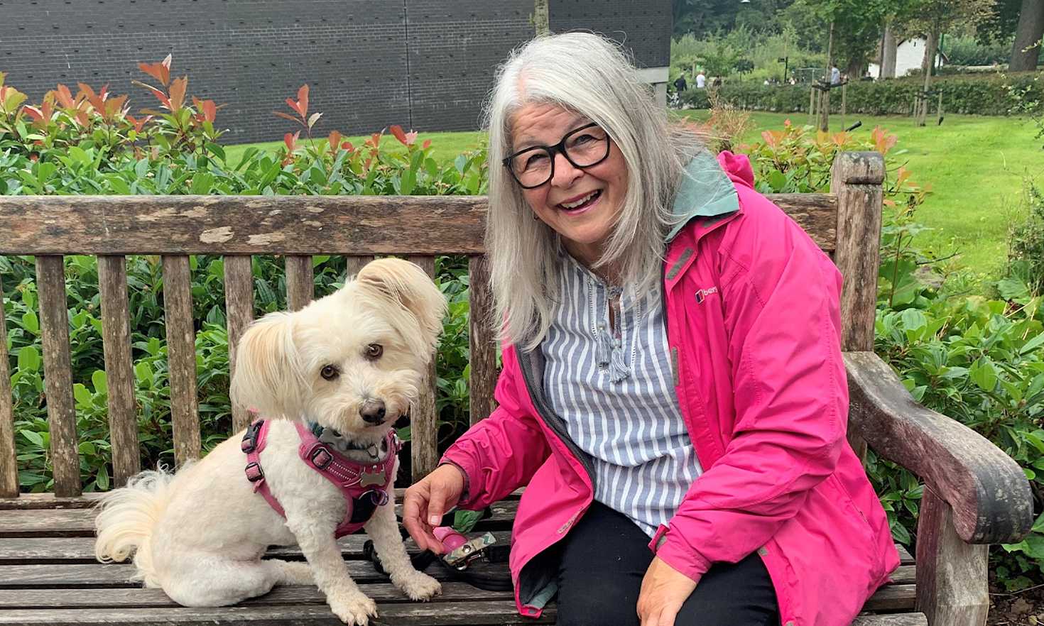 And They Called It Puppy Love People s Postcode Lottery and-they-called-it-puppy-love-people-s-postcode-lottery