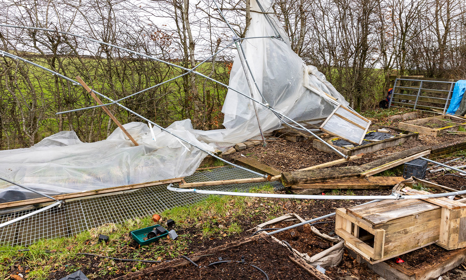 Out of bounds - gardens severely damaged after storm-force winds