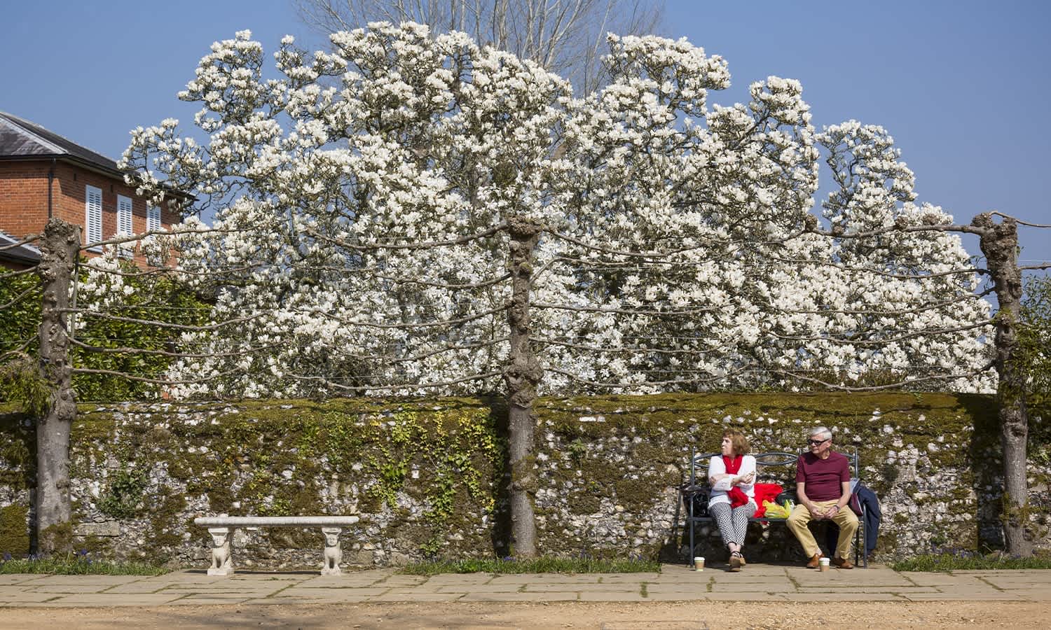 People relaxing in a National Trust property. (© National Trust Images / James Dobson)