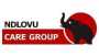 Ndlovu Care Group logo