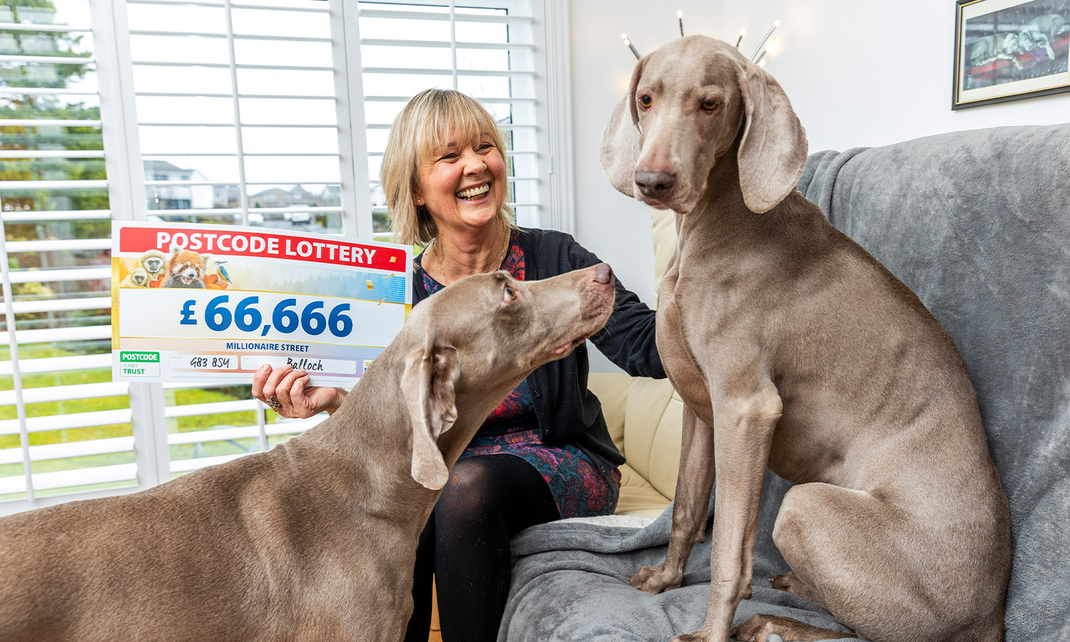 LOYAL COMPANIONS: Aileen celebrates with her two Weimaraner rescues