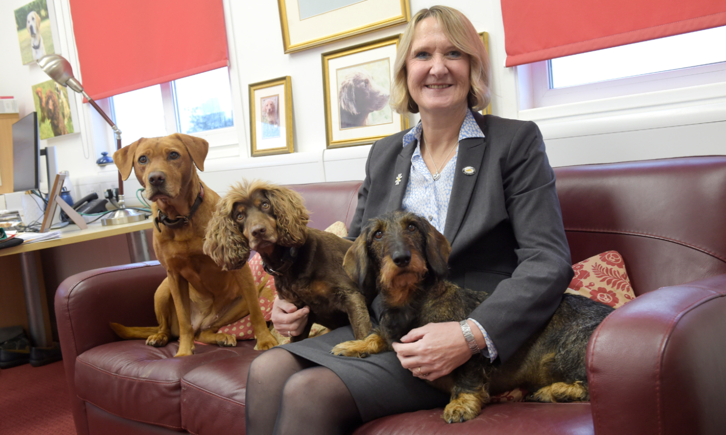 Claire with three Medical Detection Dogs on the couch
