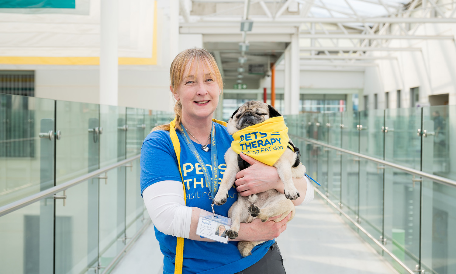 Top dog - Alfie is one of thousands of PAT animals making a difference