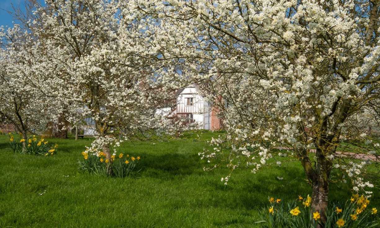 One of the National Trust designs will recreate an orchard from the 19th century