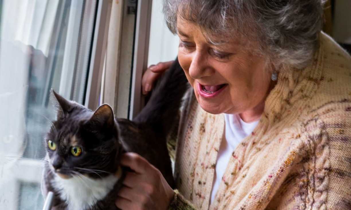 Frances received new feline companion Molly through Cat Protection's hands-free homing initiative