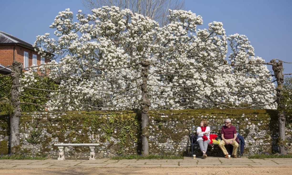 With player support, National Trust plans to plant blossom trees to create spaces of beauty and hope (© National Trust Images / James Dobson)