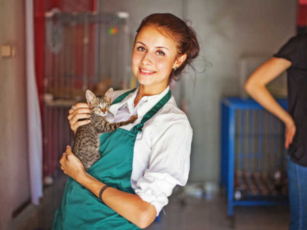 Animal Sanctuary Charities In Belfast | Postcode Lottery