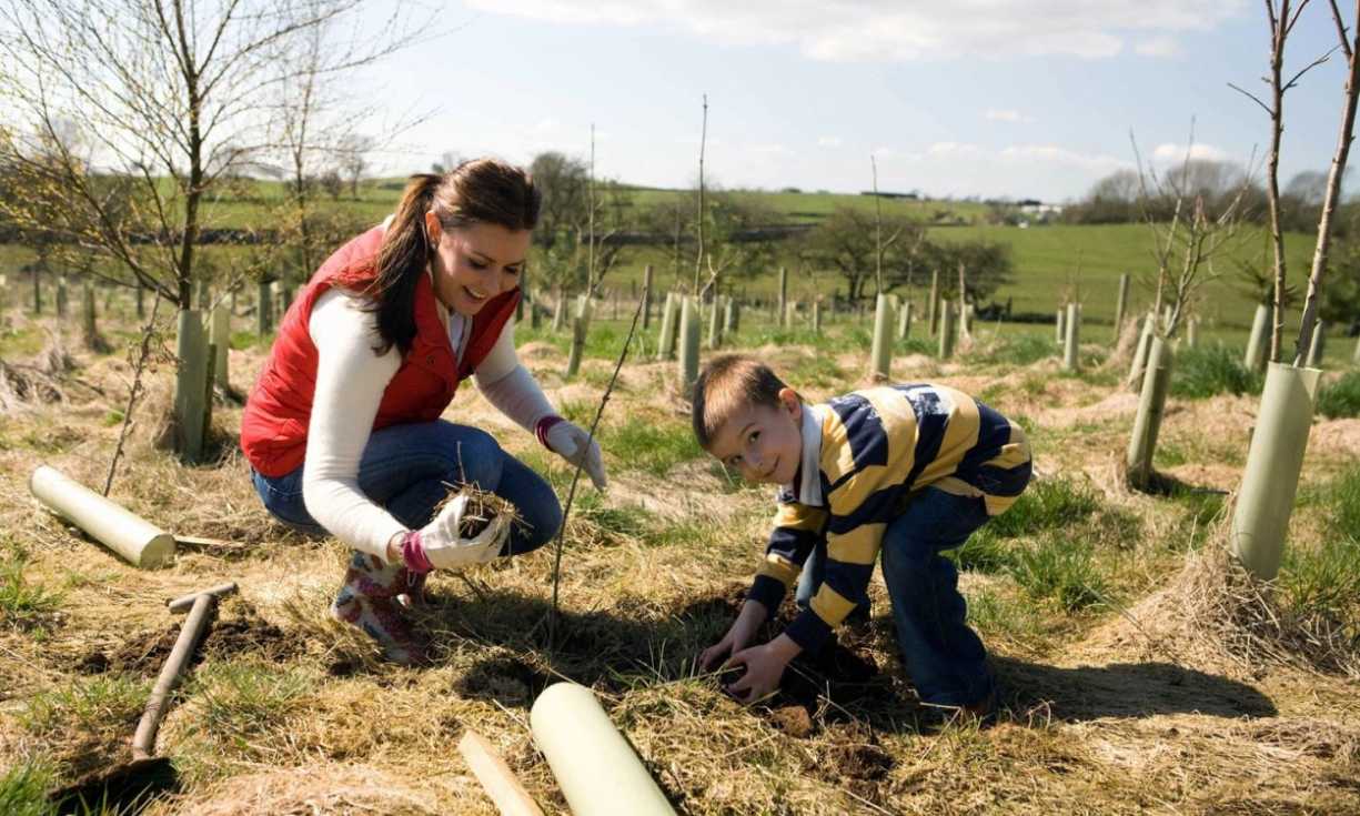 Yorkshire Dales Millennium Trust launched a campaign to plant 100,000 new trees in the Yorkshire Dales