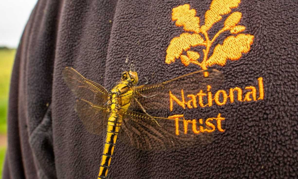 Since 2013, our players have raised over £2 Million for the National Trust