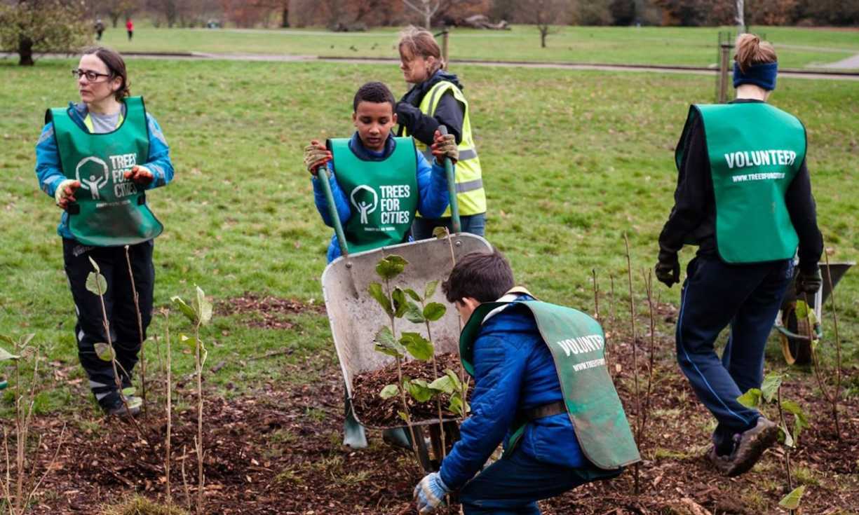 Charity Trees For Cities gets involved with local communities to cultivate lasting change in neighbourhoods