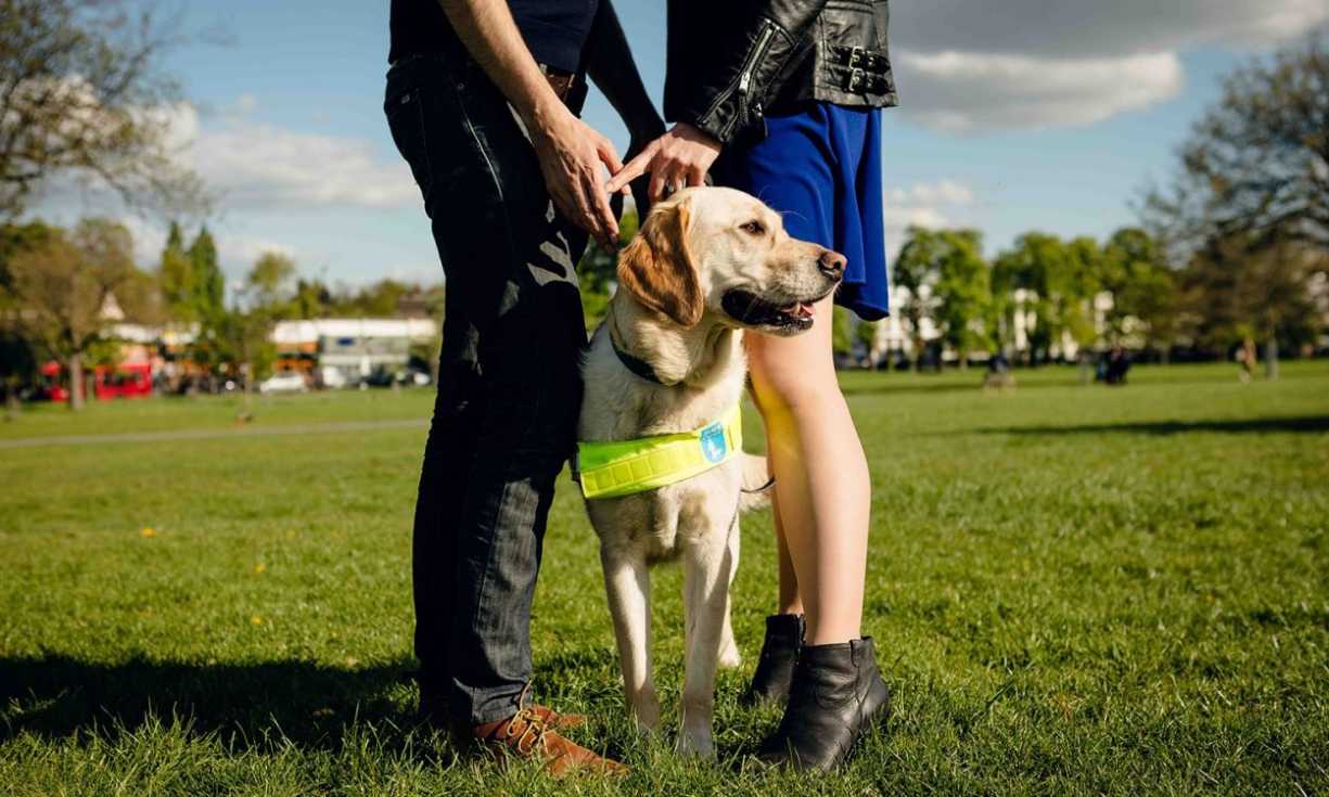 Guide Dogs is working towards a future where everyone with sight loss has the confidence and support to live independent, active lives