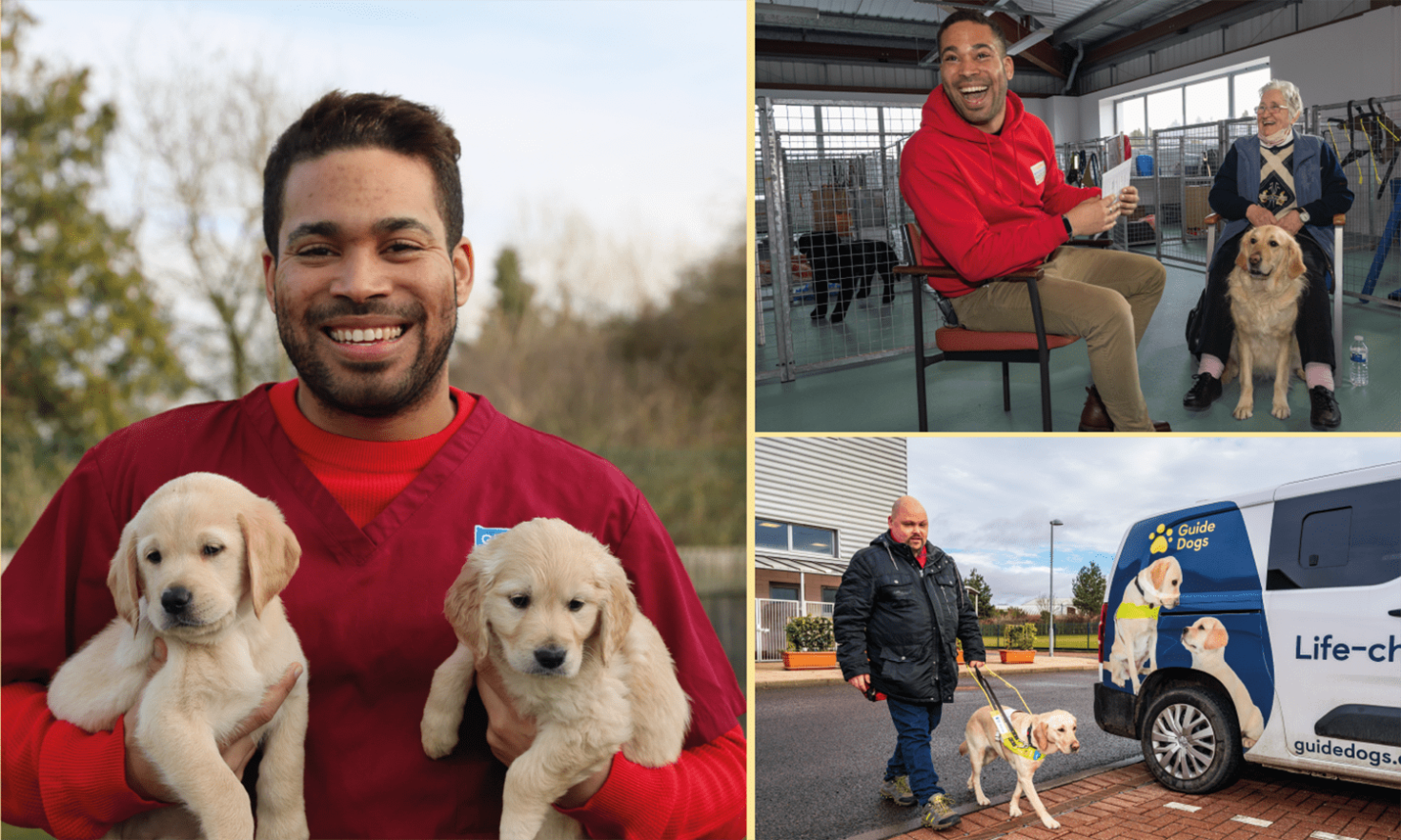 Guide dogs Mabel and Bella in 2019, and now with their new owners