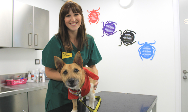 Dogs Trust. Smiling woman vet with a small dog wearing a red bandana