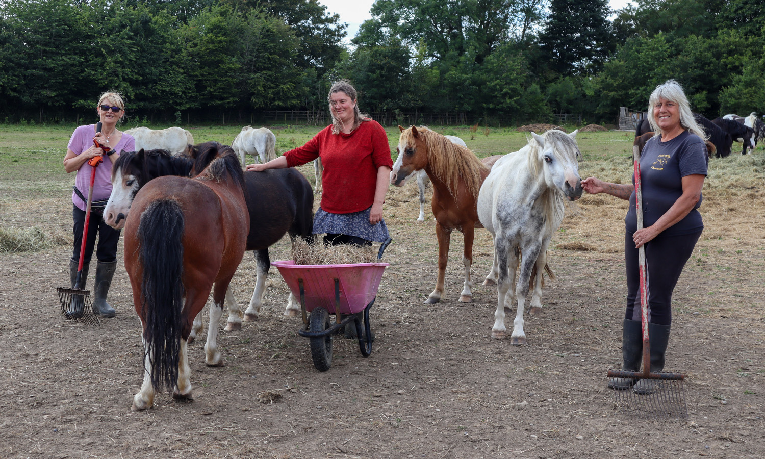 GIDDY UP: Cecil's Horse Sanctuary received a vital funding boost