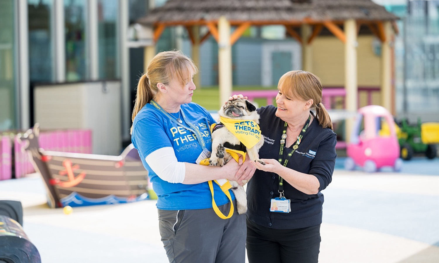 Fur-ever friends - Alfie's a big hit with staff too