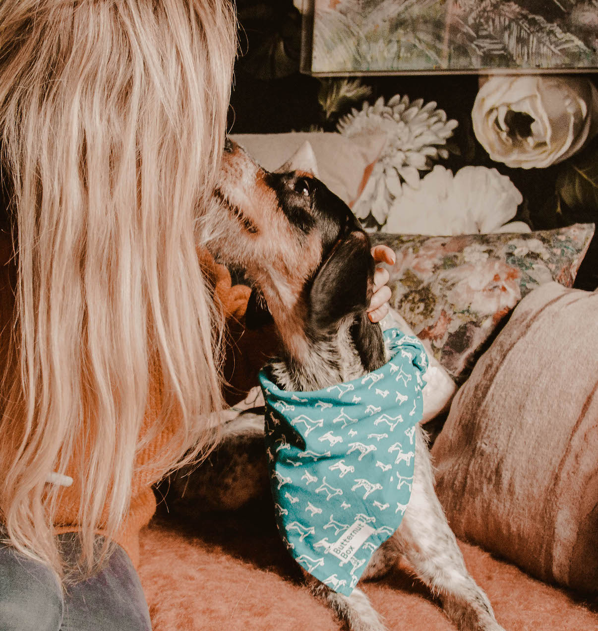 How Do You Settle A Dogs Upset Stomach