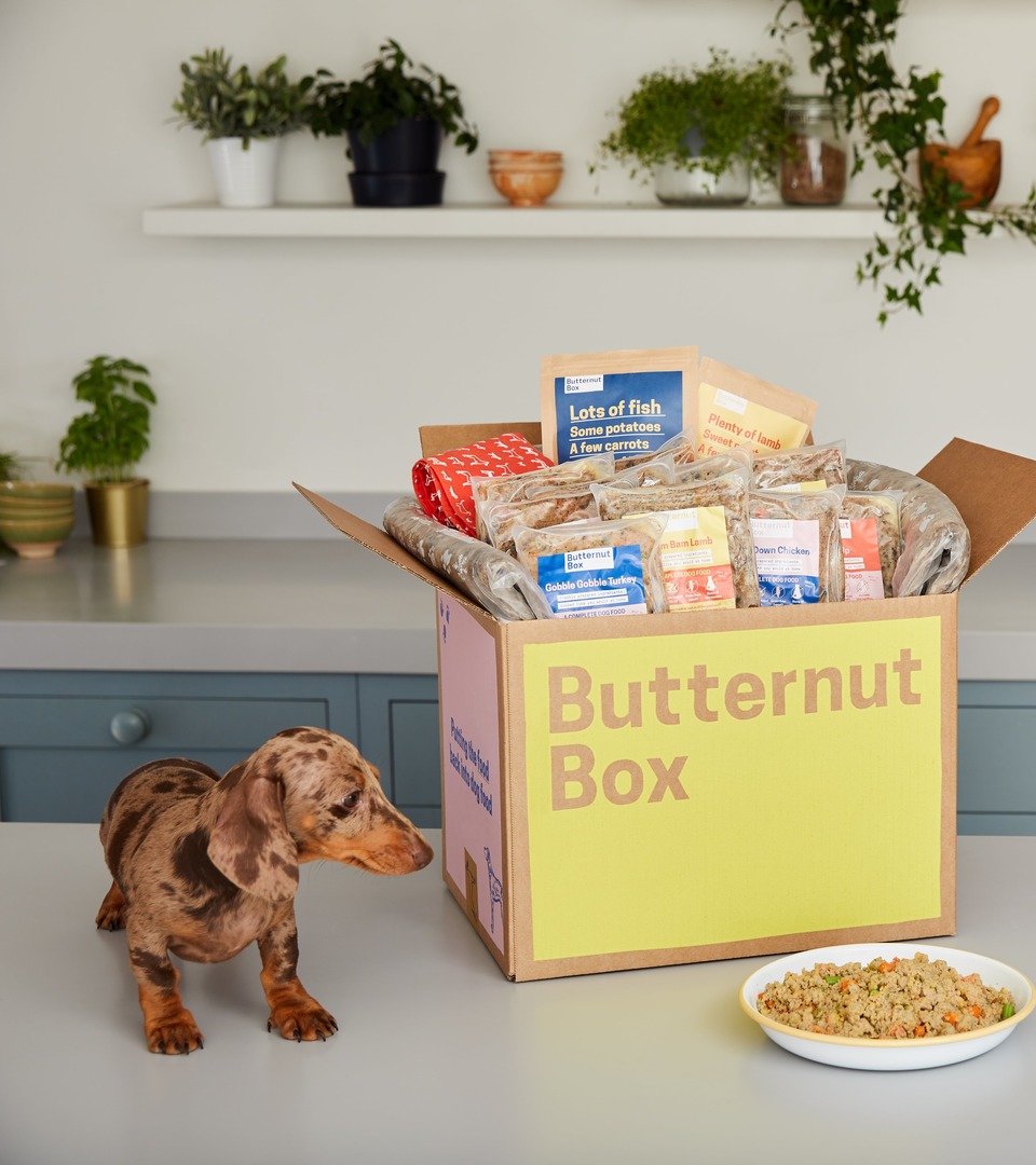 purina soft bites