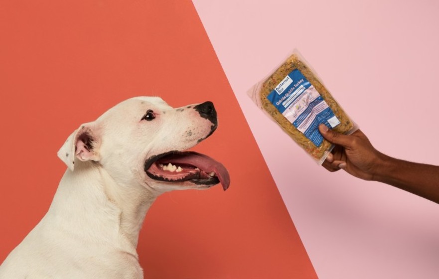 Butternut Box The Most Delightful Doggy Apparel