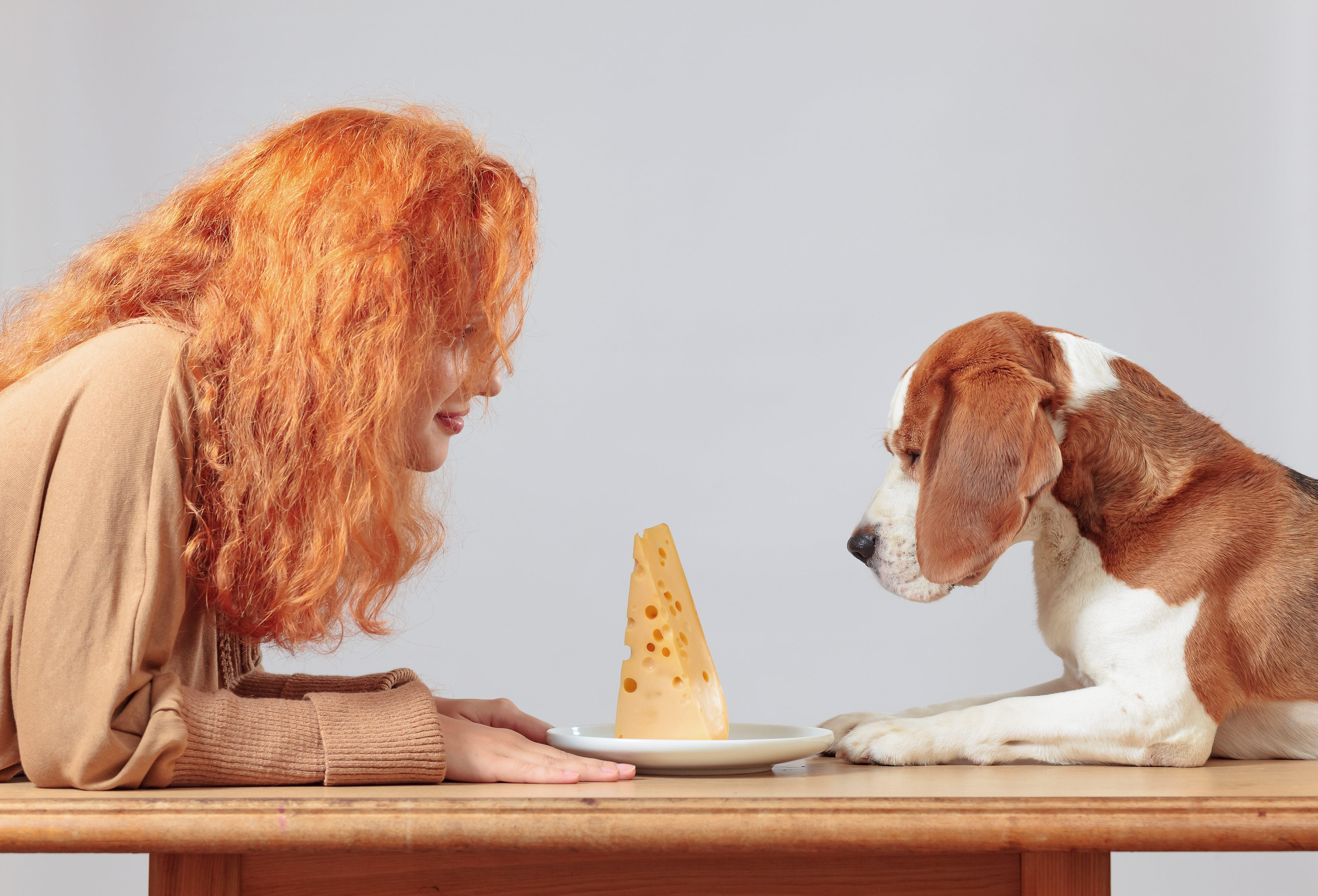 can cheese cause seizures in dogs