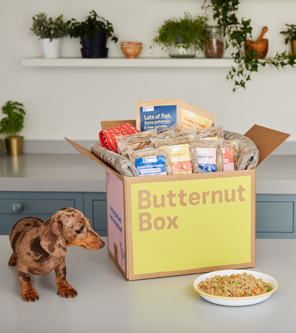 Butternut Box | Why Butternut Box is 