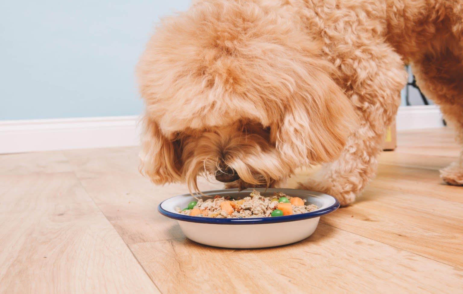 Butternut Box What S In Your Dog Food