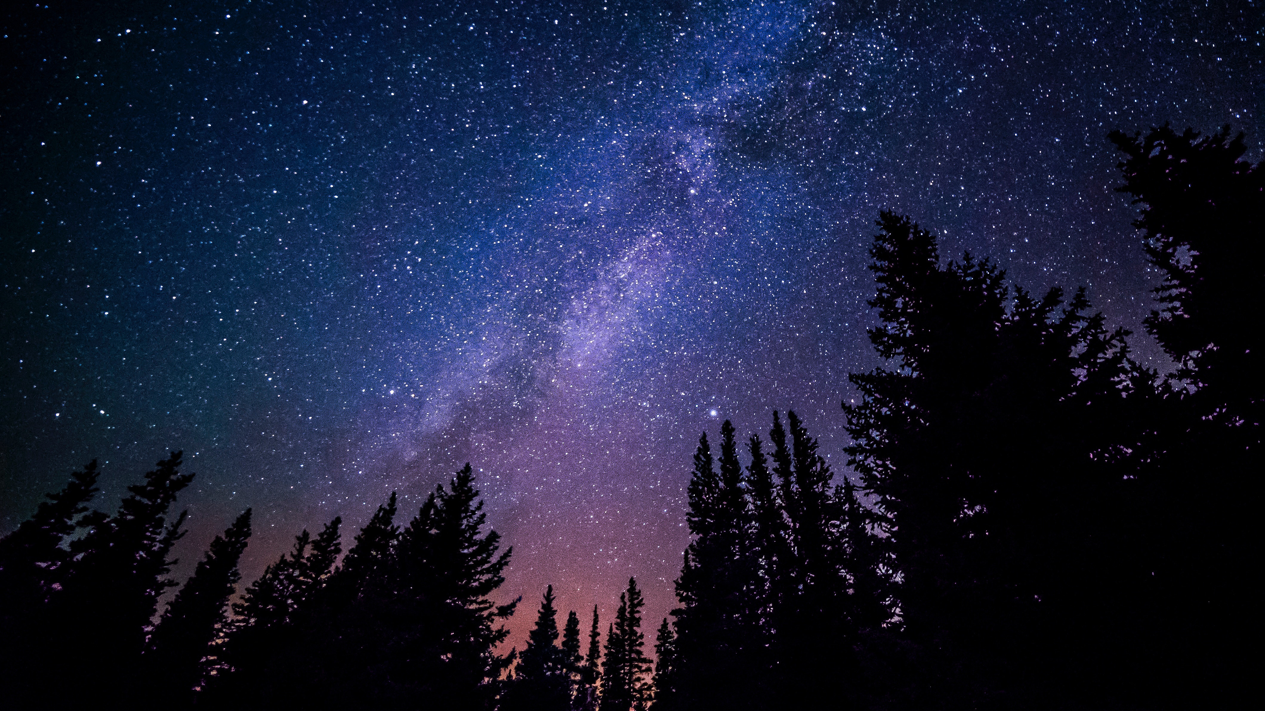 A starry night sky shows over the treeline.