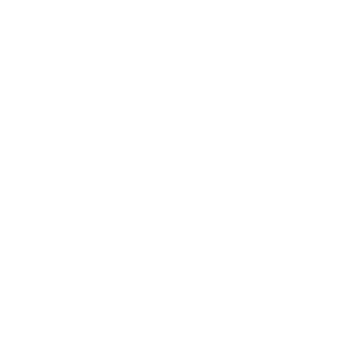Pantone official visual logo.