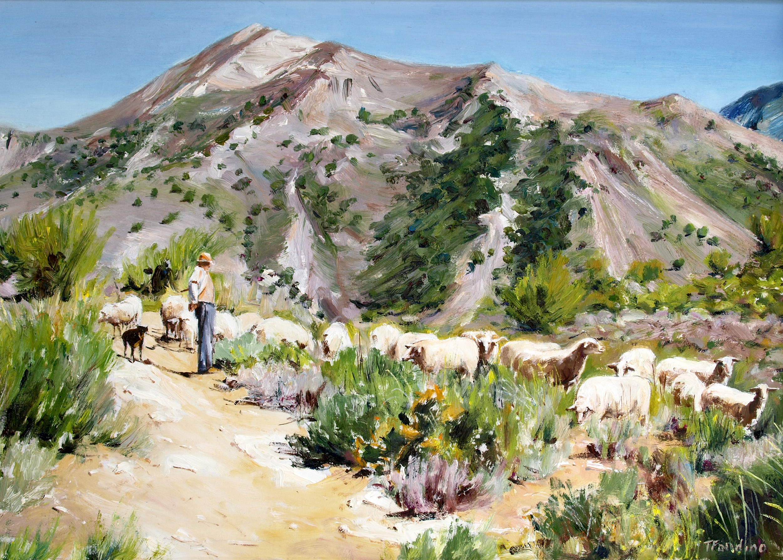 Shepherd, Maro (Spain)