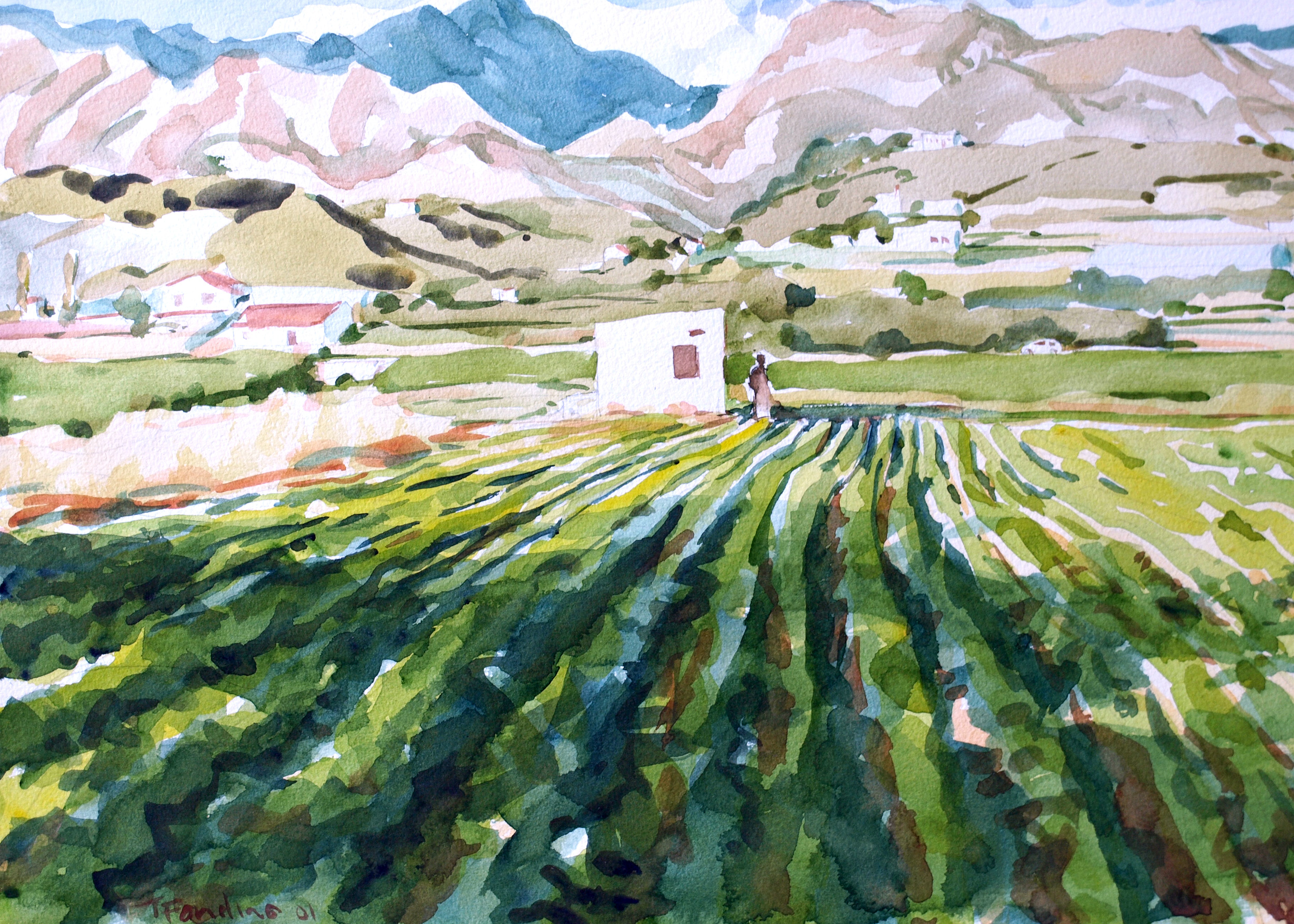 Small Holding, Nerja (Spain)