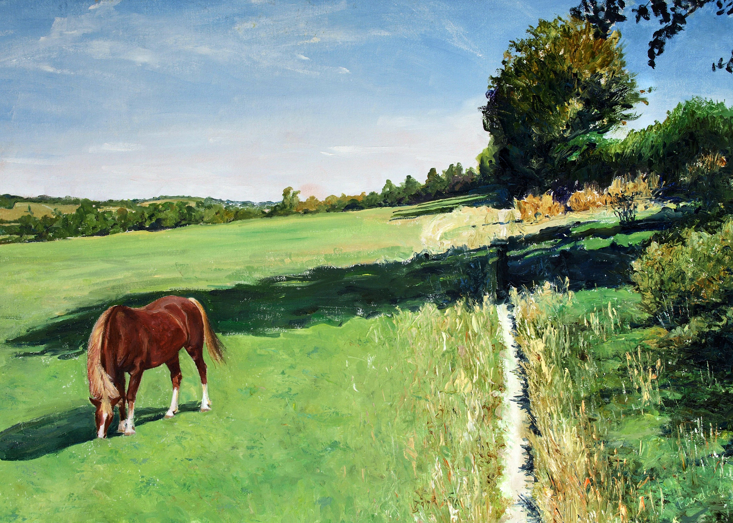 Horse grazing, Otford, Kent (England)