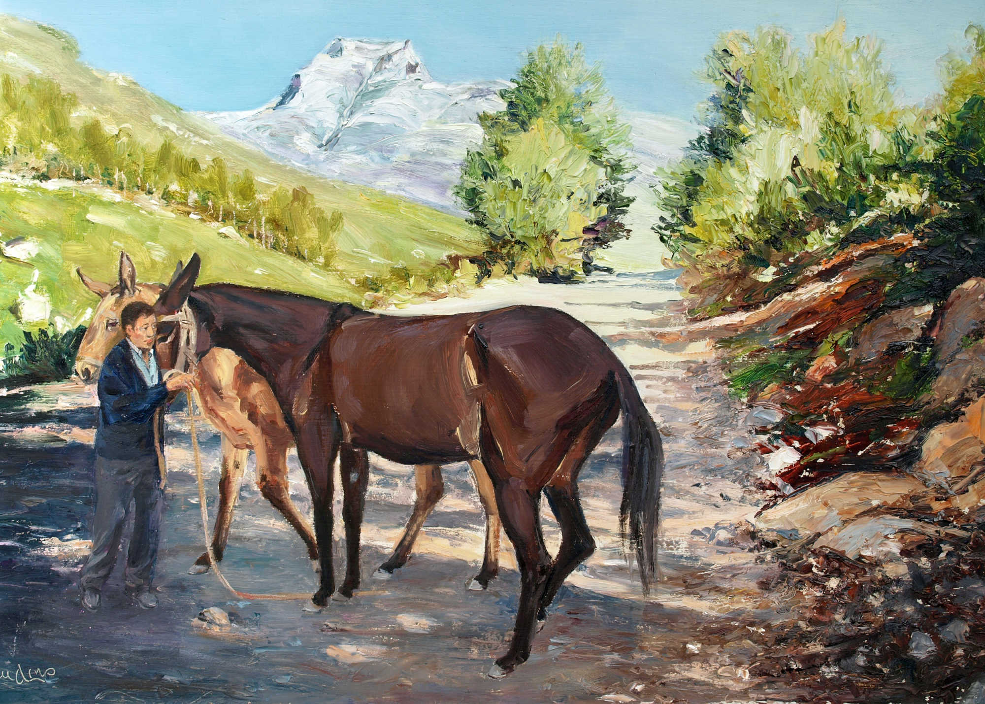 Mules, Sierra Mountains above Nerja (Spain)