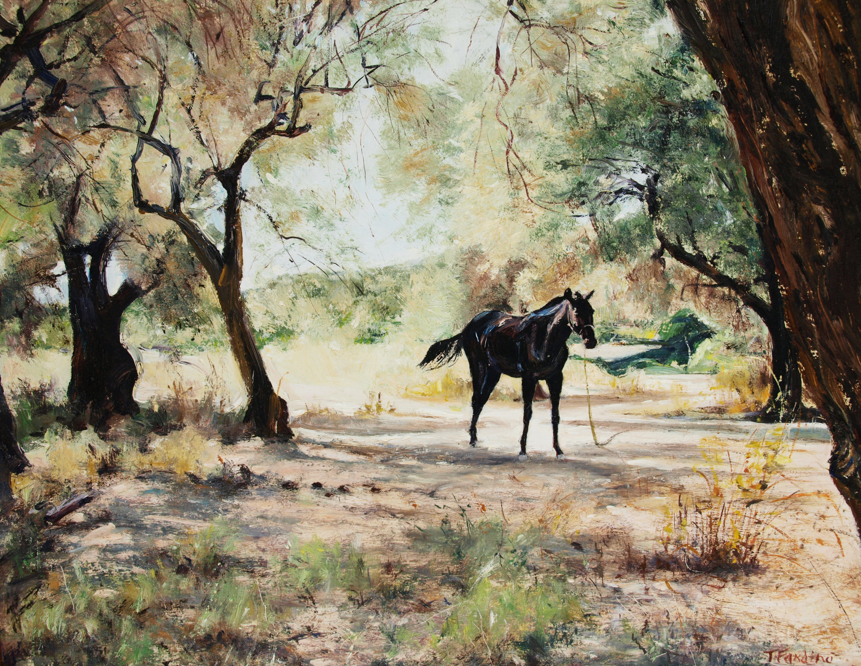 Horse at Skiathos (Greece)