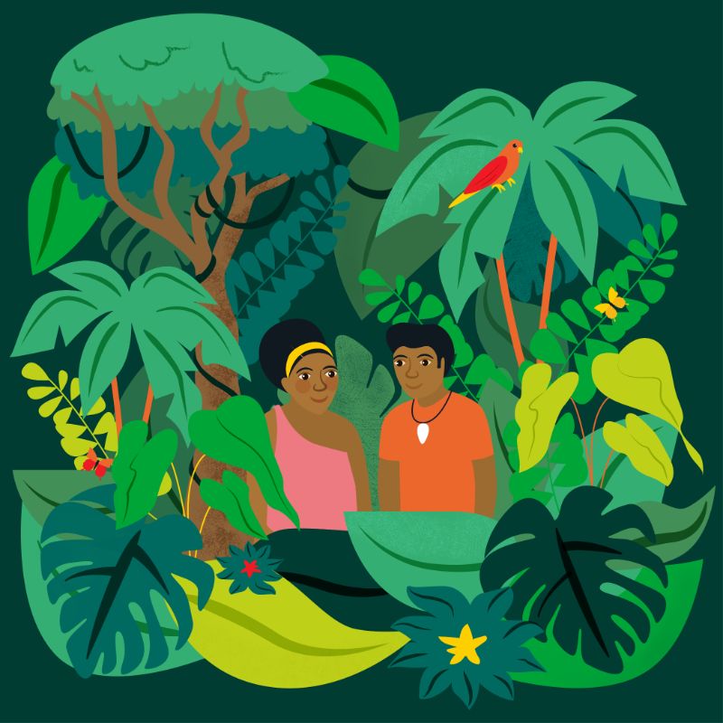 World Gifts - Restore the rainforest illustration