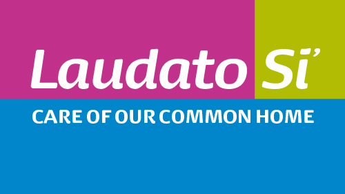 Laudato Si For Schools