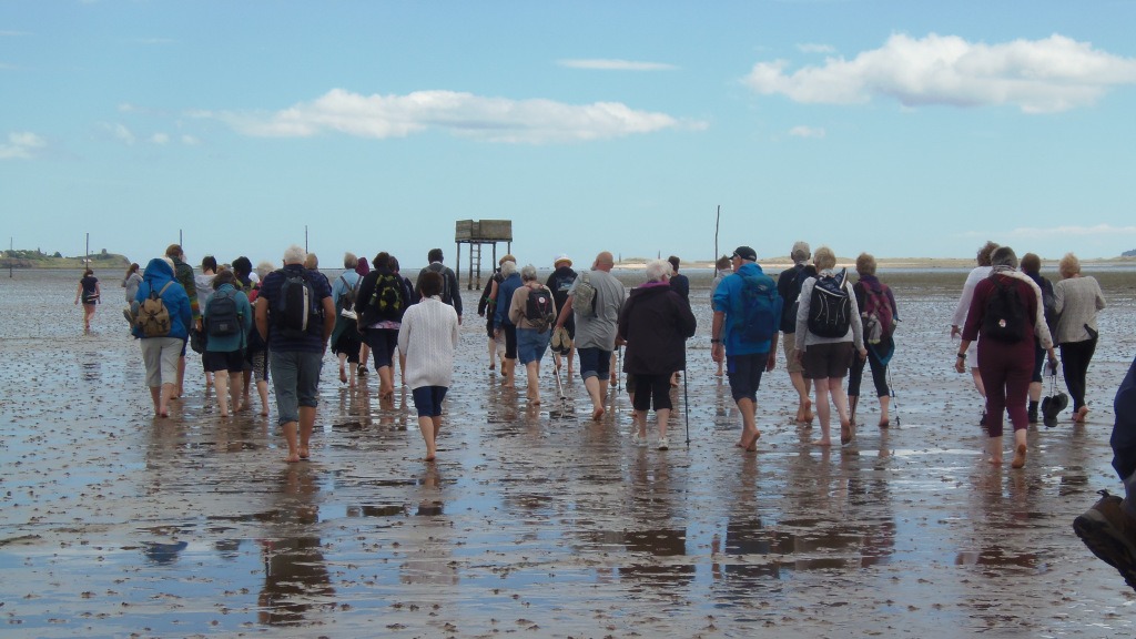 Join a CAFOD pilgrimage