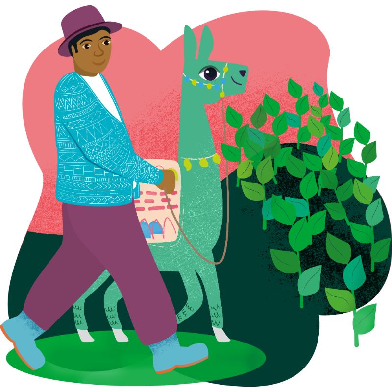 World Gifts - Help a llama farmer illustration