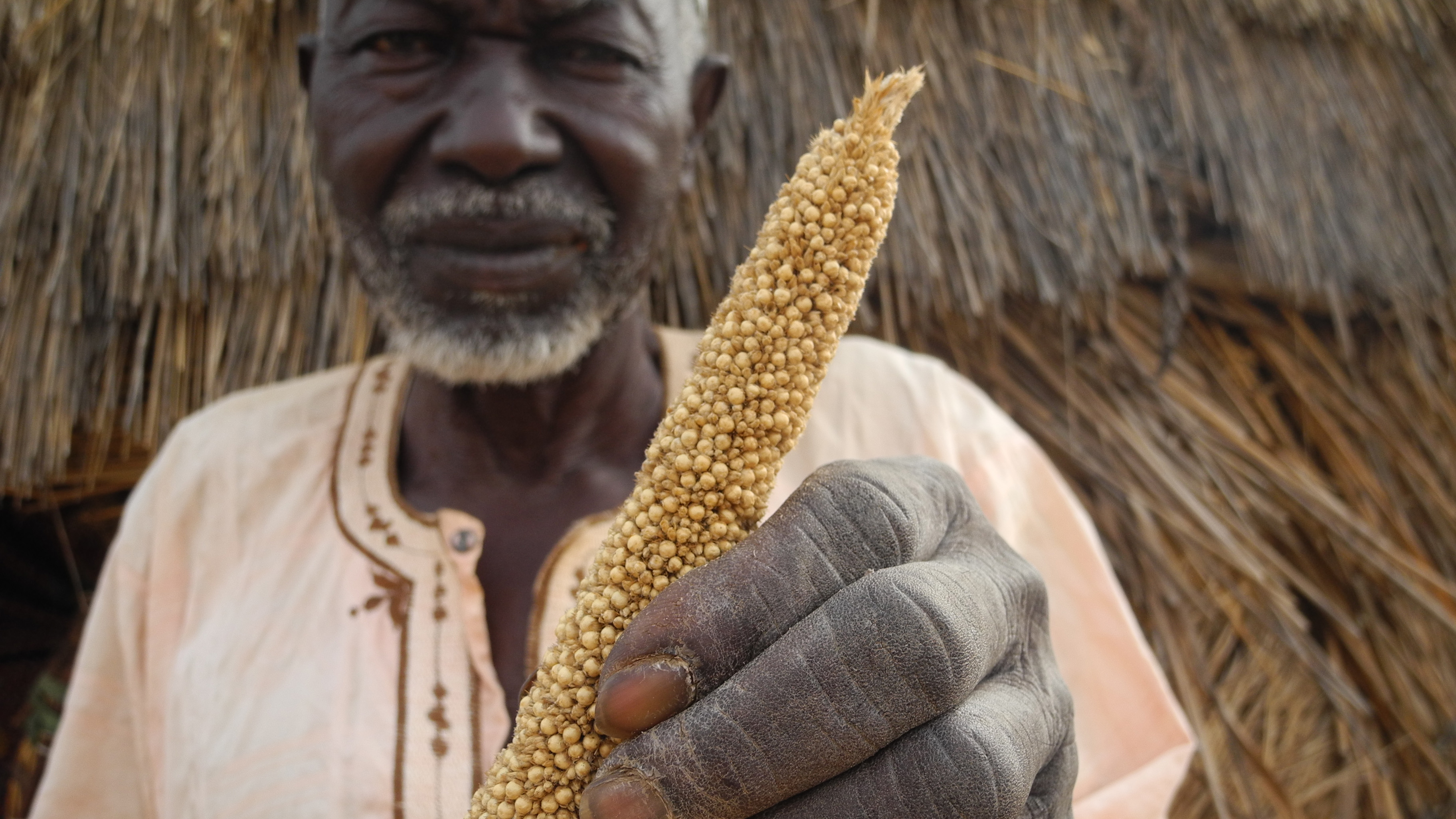 Africa - Niger - Hamani Fodi and millet 