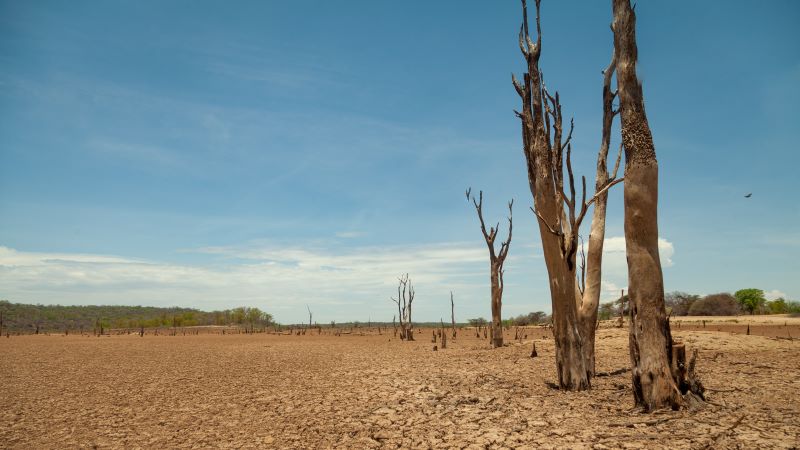 Africa - Zimbabwe - Drought, Dry Landscape