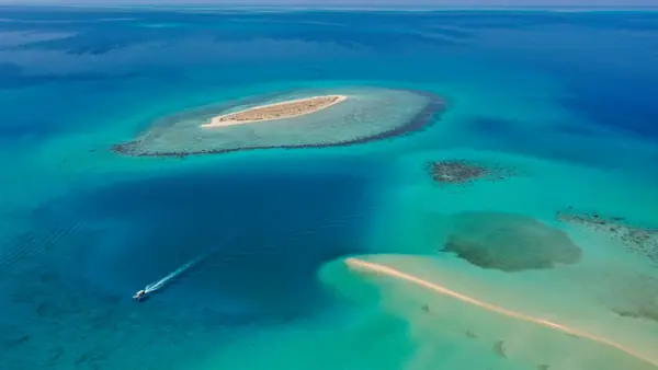 A fascinating trip to Farasan Islands | webook.com
