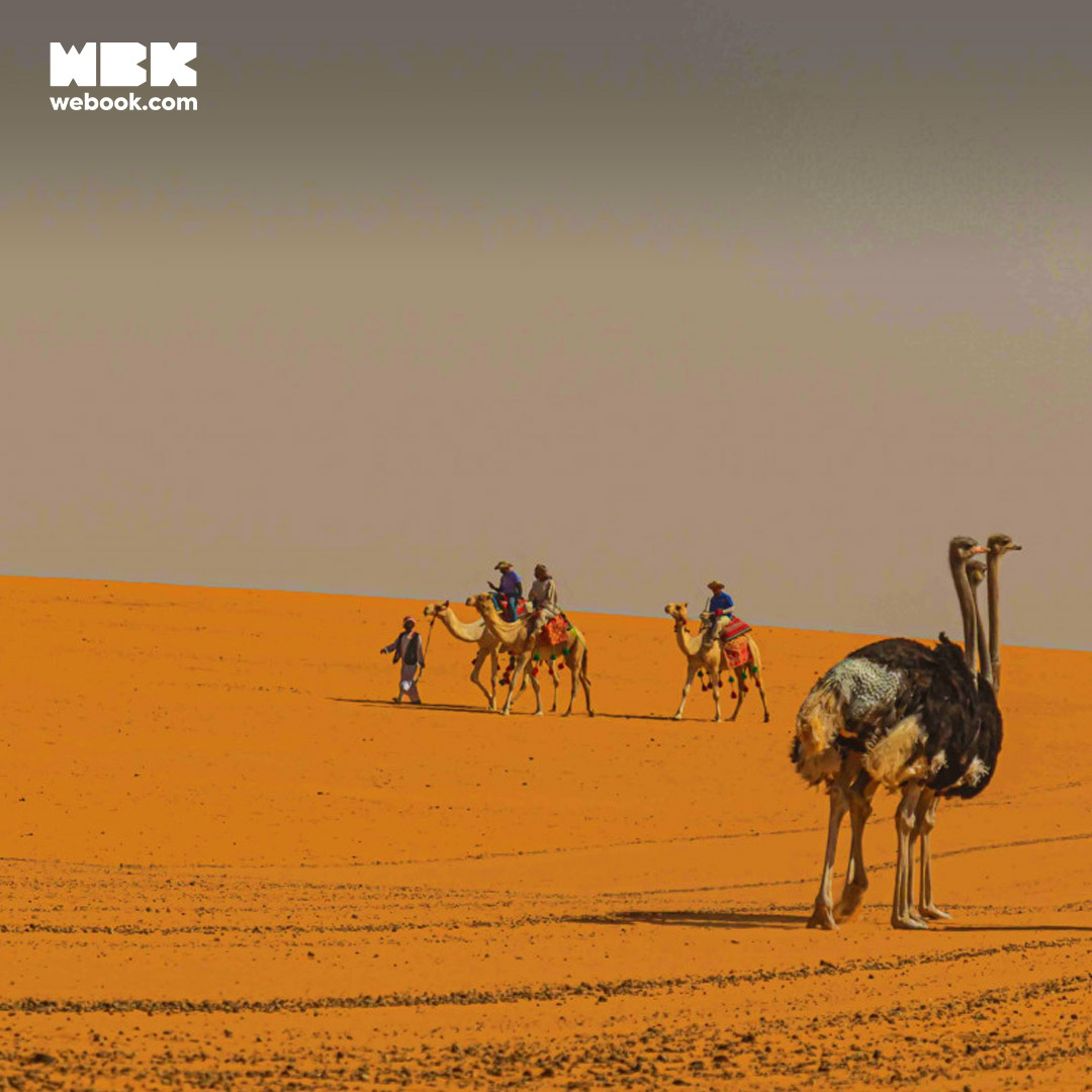 Embark On An Unforgettable Adventure: Camel-Back Safari at Nofa