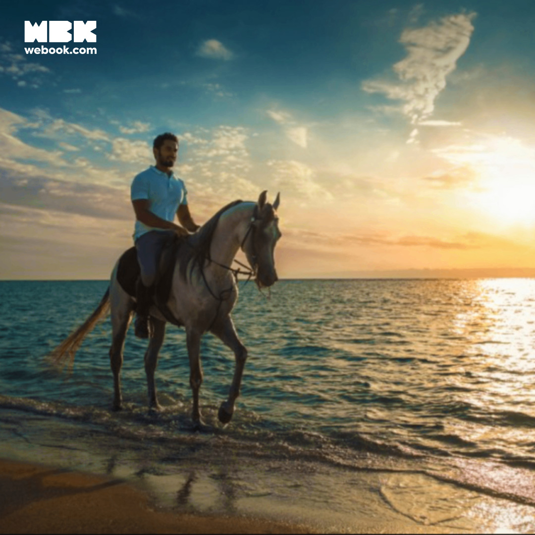 Beach horse riding experience in Jeddah