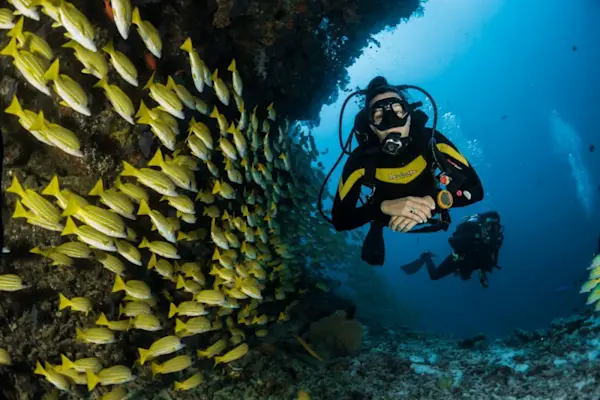 Red Sea Diving Adventure
