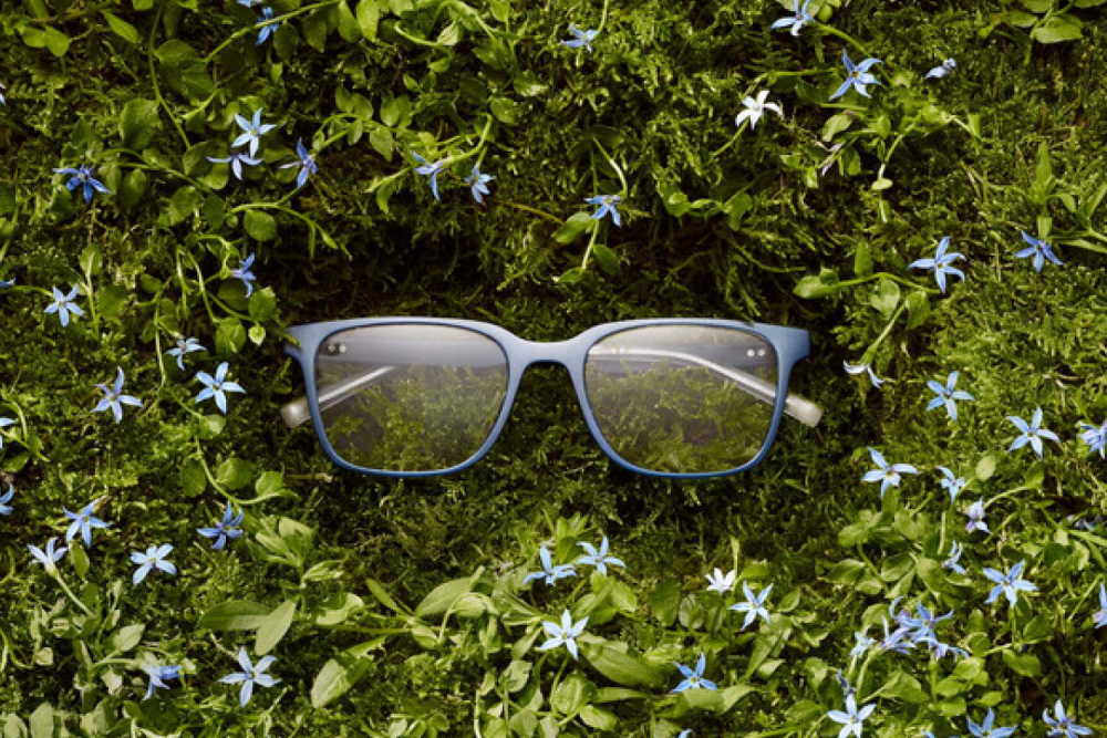 Glasses laying in grass