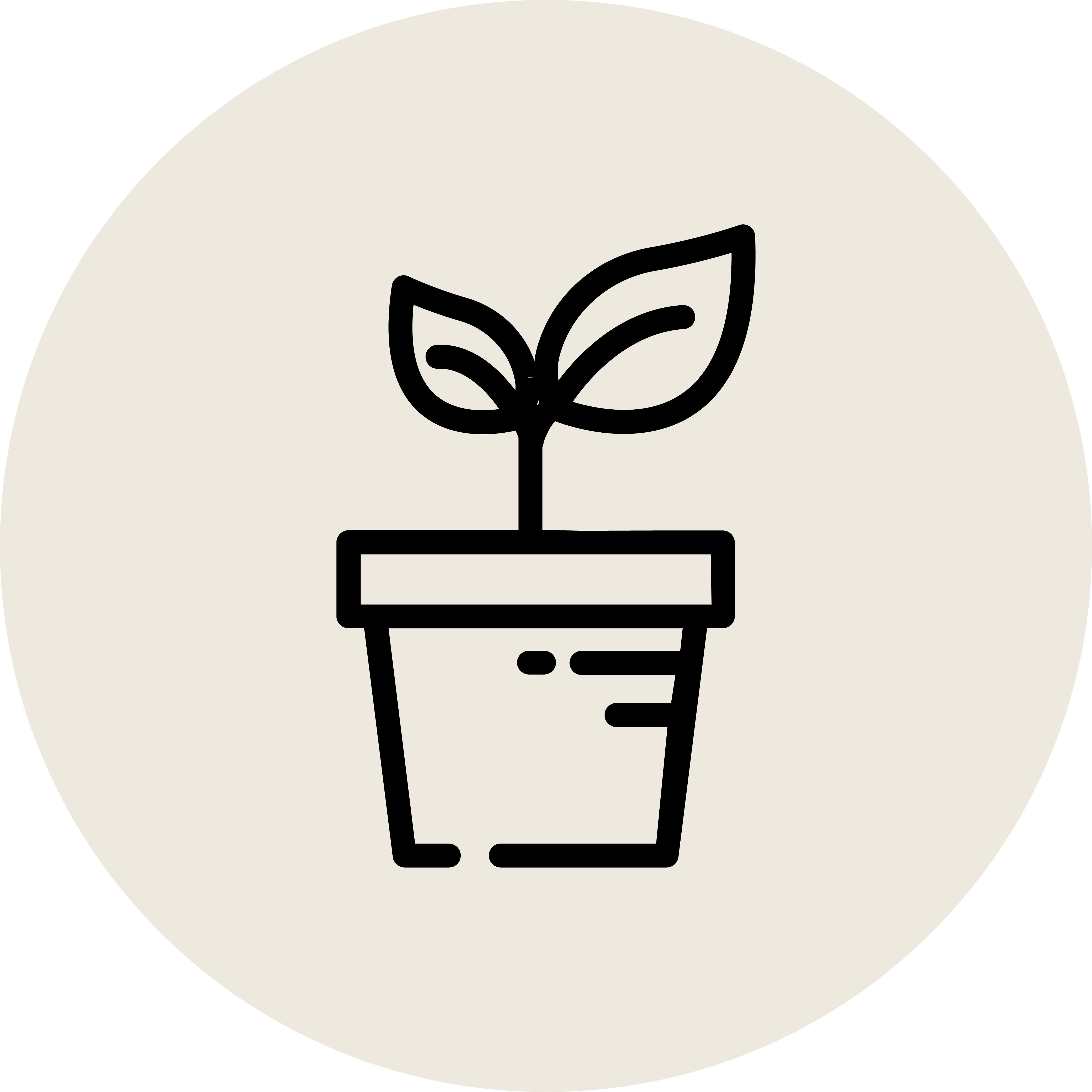 Plant of opportunities